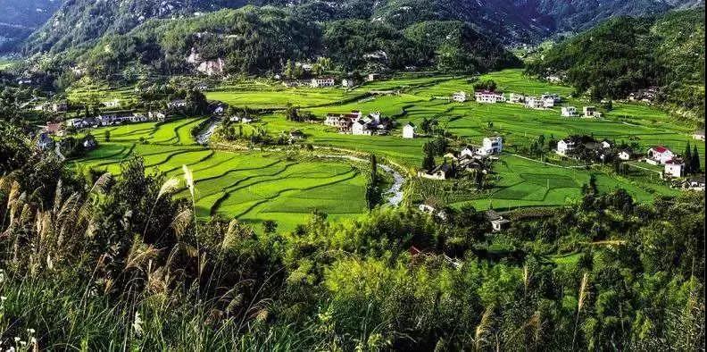 農(nóng)旅康養(yǎng)旅游項(xiàng)目，策劃才是靈魂！
